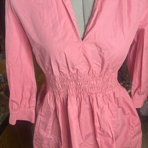 Zara Soft Pink Blouse dress